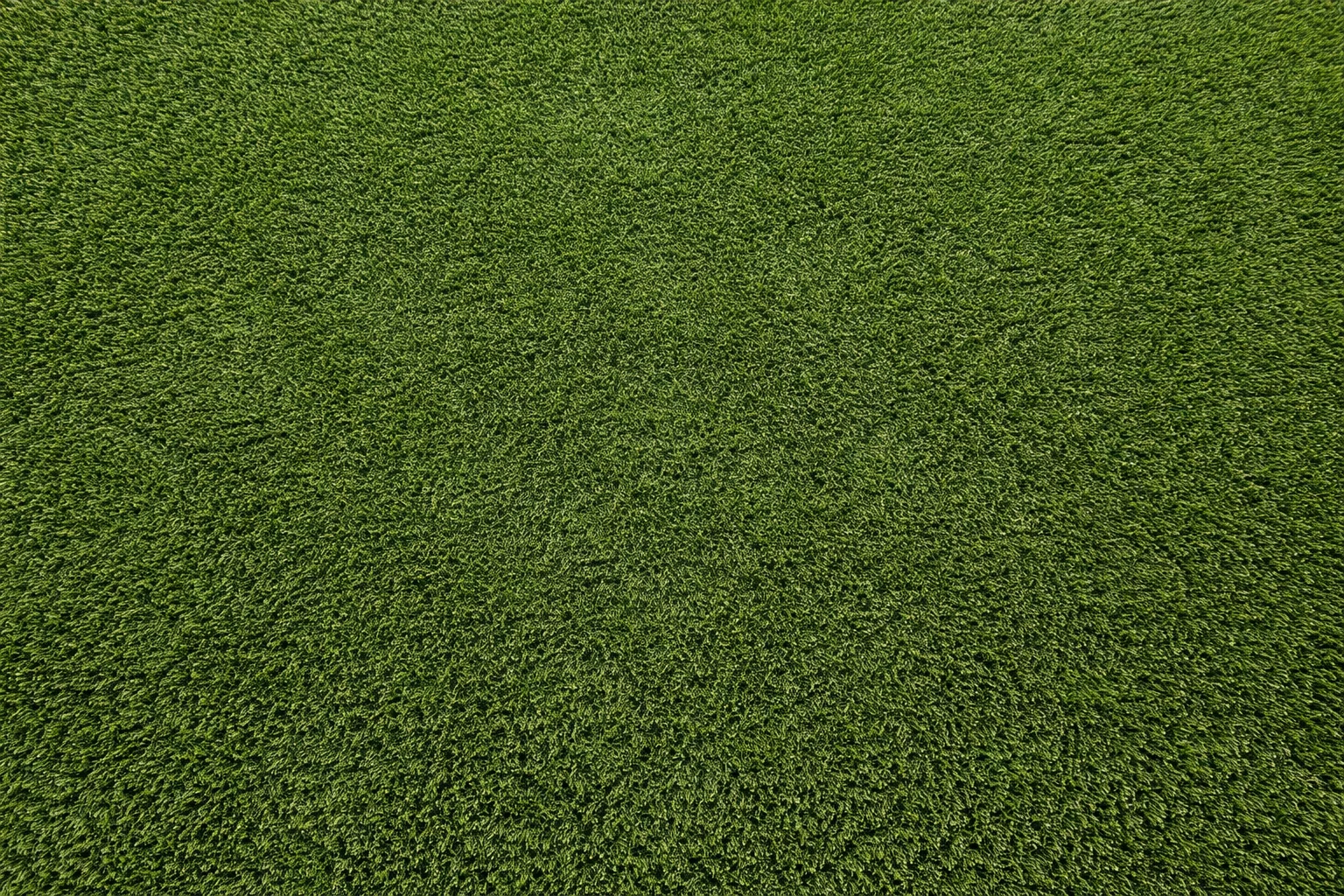 Turf after Fresh Turf cleaning